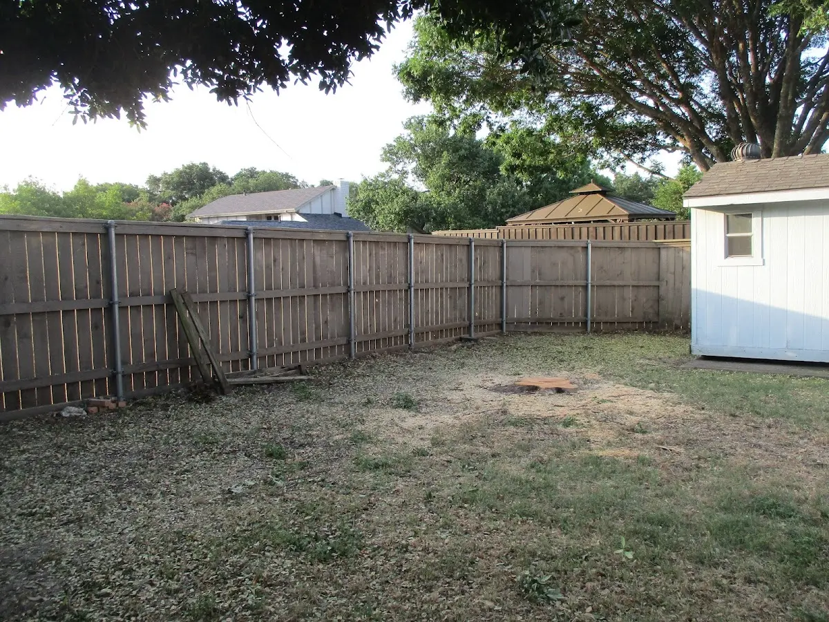 Cleared yard after professional tree removal in Wantagh