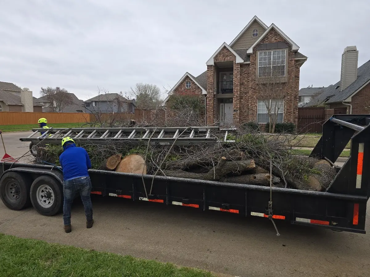 Expert Lot Clearing with proper safety equipment in Wantagh